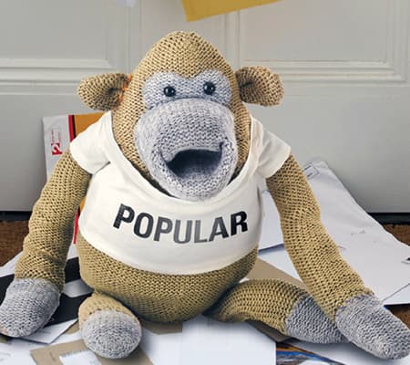 Most Famous Monkey
